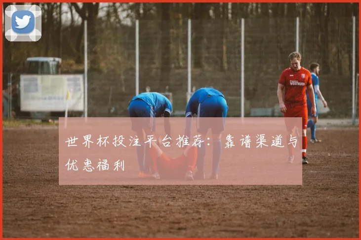 世界杯投注平台推荐:靠谱渠道与优惠福利