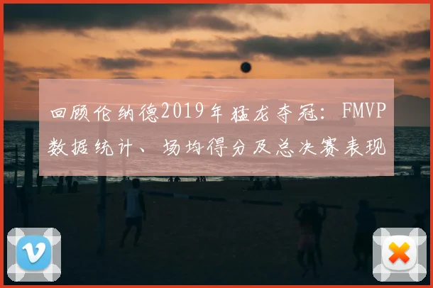 回顾伦纳德2019年猛龙夺冠：FMVP数据统计、场均得分及总决赛表现全解析